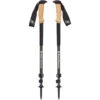 Black Diamond Alpine Carbon Cork - Trekkingstöcke 1 Black Diamond Alpine Carbon Cork - Trekkingstöcke -Campfreunde Geschäft black diamond alpine carbon cork trekkingstoecke tundra bd 112514 3010 all 0