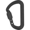 DMM Shadow Screwgate - Schraubkarabiner