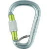 Edelrid HMS Bruce Steel Screw FG II - Karabiner -Campfreunde Geschäft edelrid hms bruce steel screw fg ii karabiner silver er 73805 000 0060 0