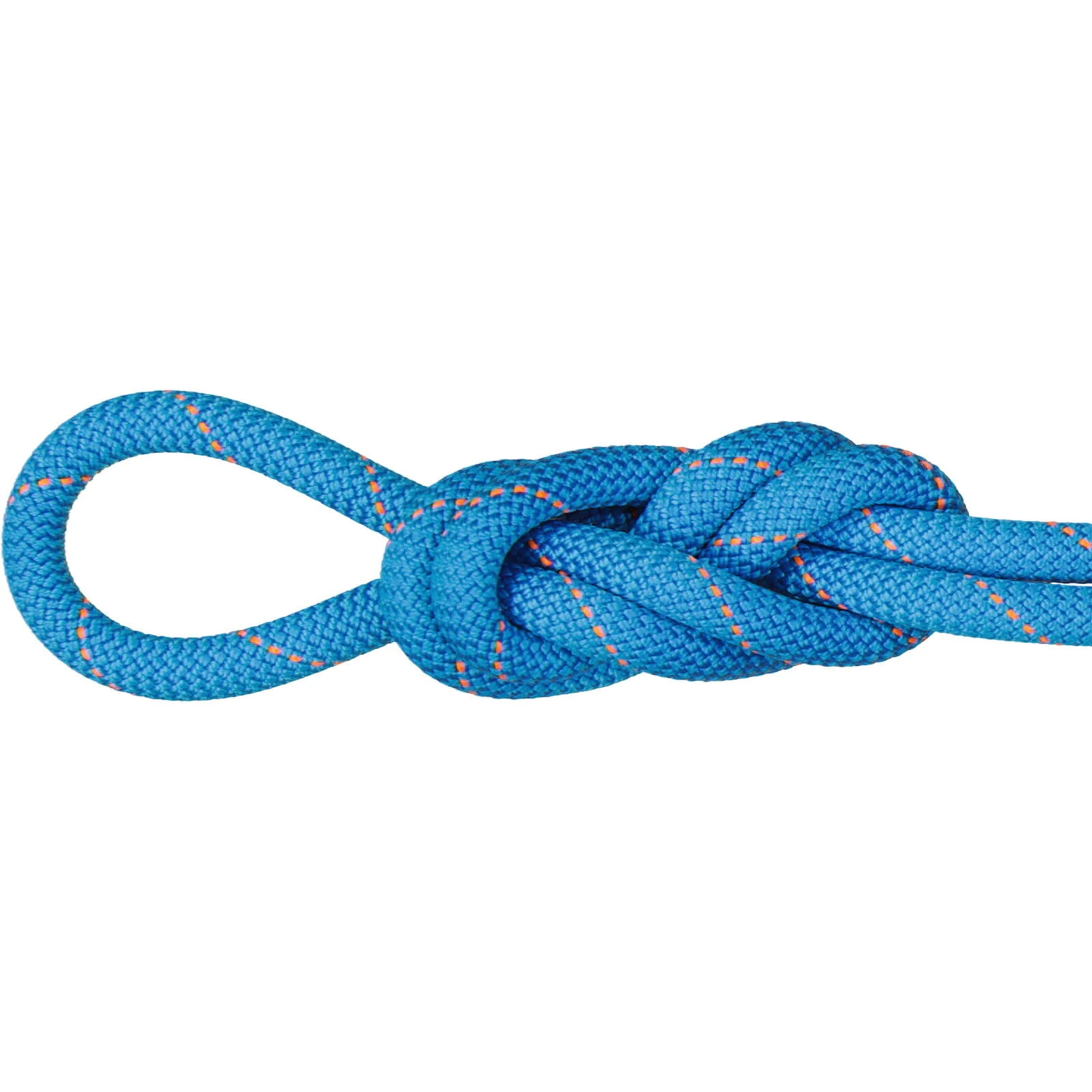 Mammut 9.9 Gym Workhorse Dry Rope - Kletterhallenseil 3 Mammut 9.9 Gym Workhorse Dry Rope - Kletterhallenseil