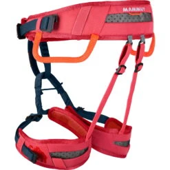 Mammut Ophir Kids - Kinder-Klettergurt -Campfreunde Geschäft mammut ophir kids kinder klettergurt barberry ma 2020 00811 5611 1 1