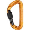 Mammut Sender Screwgate Carabiner - Verschlusskarabiner