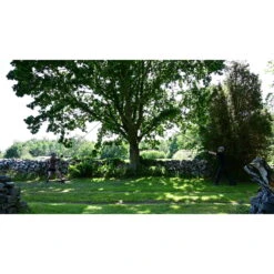 NORDIC POCKET SAW Arborist Hand-Ketten-Säge-Set 11 NORDIC POCKET SAW Arborist Hand-Ketten-Säge-Set -Campfreunde Geschäft nordic pocket saw arborist hand ketten saege set nps npsa 2