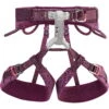 Petzl Luna - Damen-Sportklettergurt 2 Petzl Luna - Damen-Sportklettergurt -Campfreunde Geschäft petzl luna damen sportklettergurt violett pe c035ba00 0